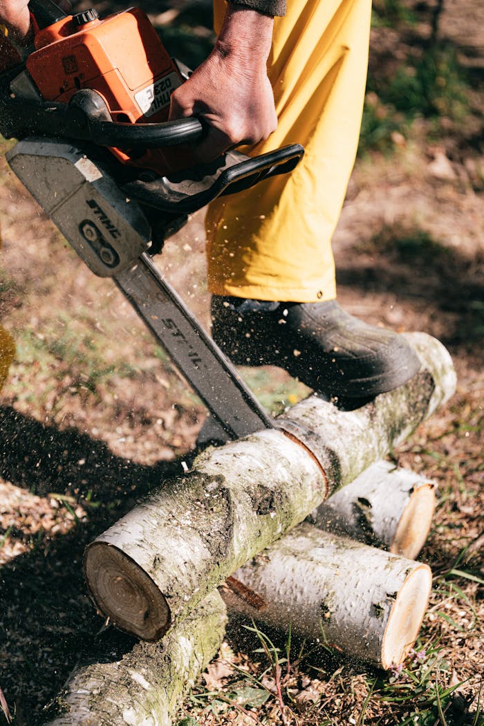 A person using a chainsaw to cut wooden logs outdoors, showcasing forestry work.
